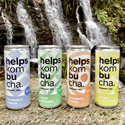 Helps Kombucha en DisfrutaBox Despertares Helps Kombucha en DisfrutaBox Despertares