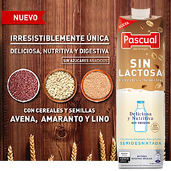 DisfrutaBox Castana Pascual Sin Lactosa Cereales y Semillas