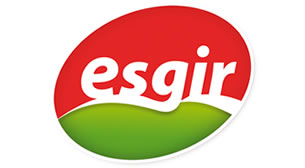 Esgir