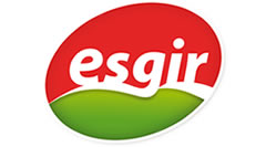 Esgir