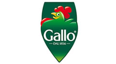 Riso Gallo