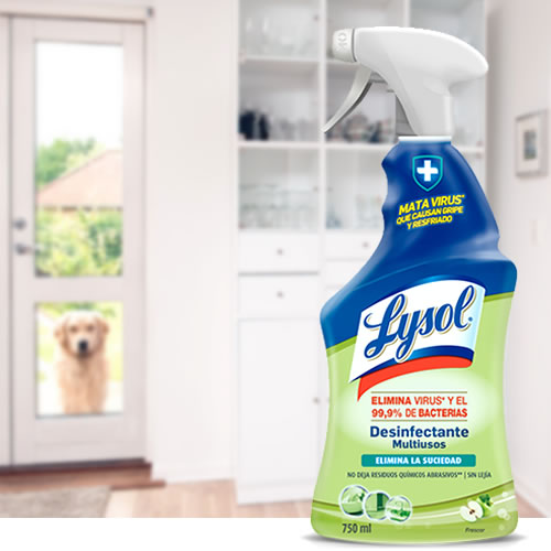 Lysol Desinfectante Multiusos en DisfrutaBox Good Morning Mundo