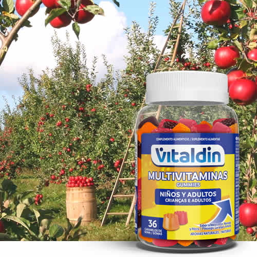Multivitaminas Niños y Adultos Vitaldin en DisfrutaBox Nunca es Tarde Multivitaminas Niños y Adultos Vitaldin en DisfrutaBox Nunca es Tarde