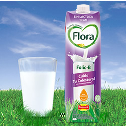 /upload/images/otras_ediciones/flora-folicb.jpg